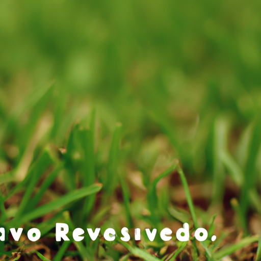 Revolución Verde: Cansa de Cuidar tu Jardín, ¡Pásate al Césped Artificial!